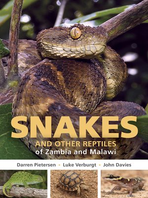 cover image of Snakes and other Reptiles of Zambia and Malawi